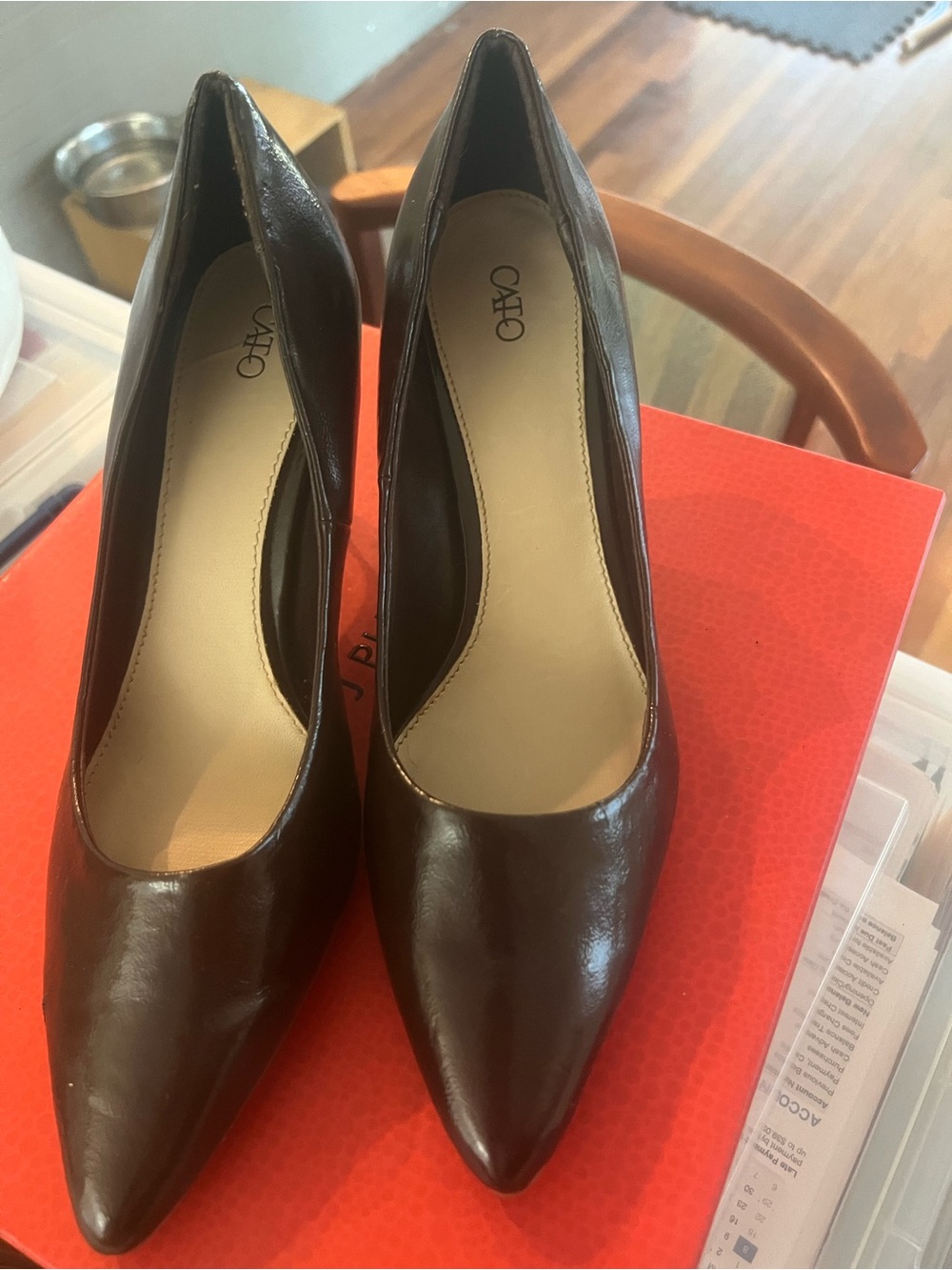 Cato Dark Brown Pointed-Toe Leather Pumps